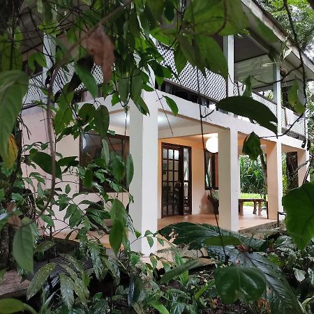 Casa Jaguar Villa Tortuguero Kültér fotó