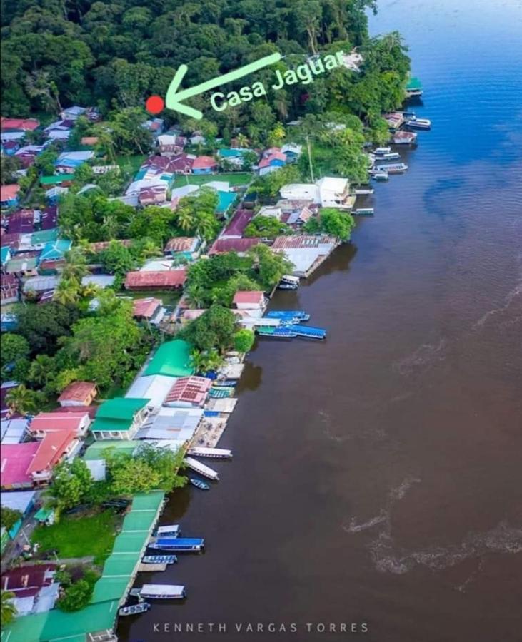 Casa Jaguar Villa Tortuguero Kültér fotó