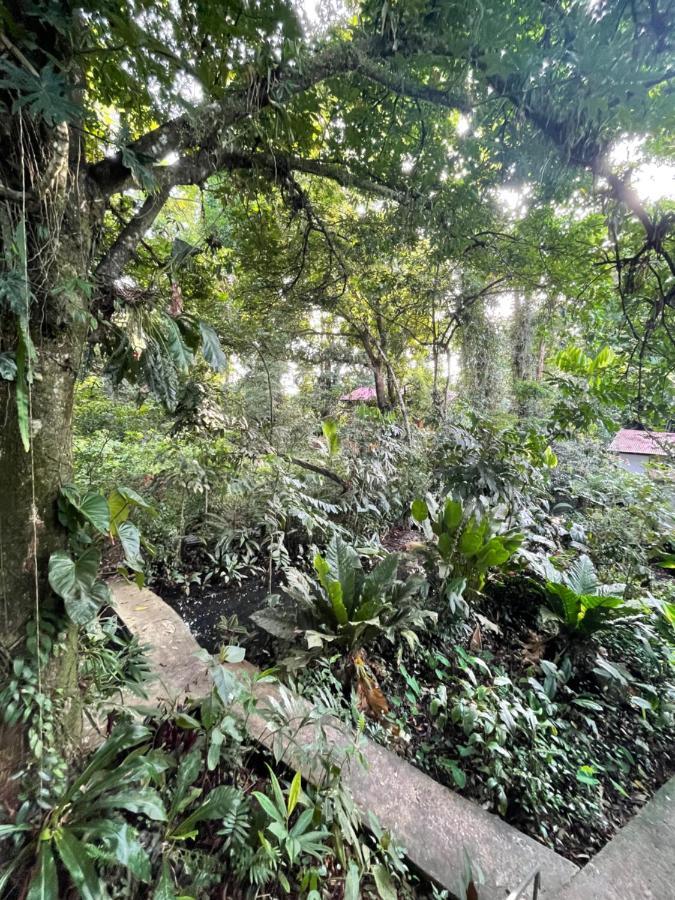 Casa Jaguar Villa Tortuguero Kültér fotó