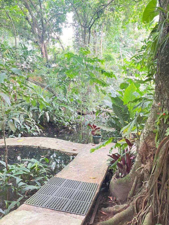 Casa Jaguar Villa Tortuguero Kültér fotó